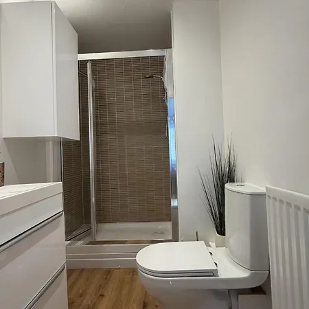 Apartment 2-bedroom Business Travel